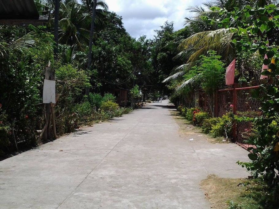 Short Walk to the Beach