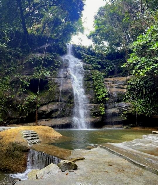 A cascading waterfall flows over rocky formations, surrounded by lush greenery. The water descends into a tranquil pool, while moss-covered stones line the edge. Sunlight filters through the trees, creating a serene and inviting atmosphere in this natural setting.