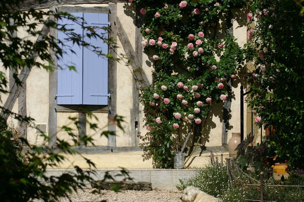 Façade Est (détails)