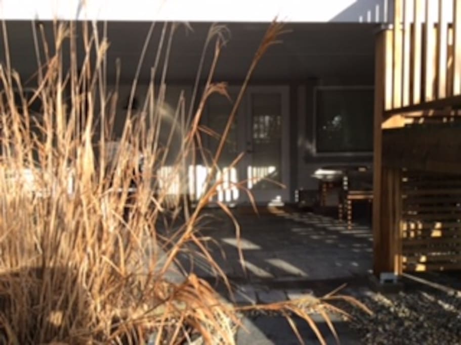 Large private outdoor space with seating, gas BBQ