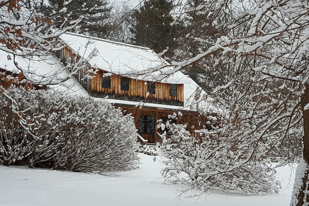 Winter Delight