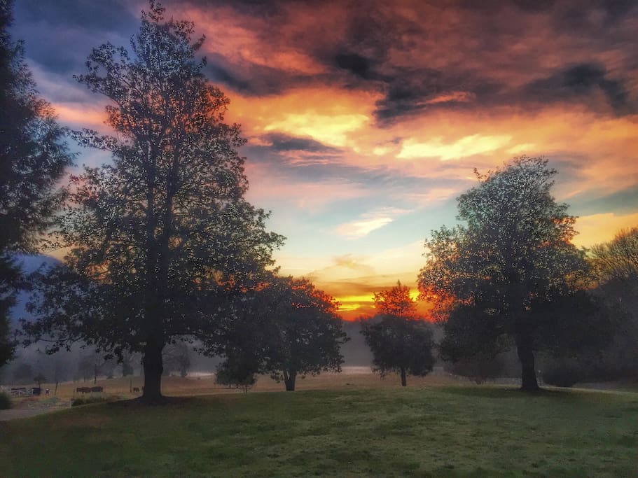 Misty spring sunrise and view of the front yard/pasture at Bald Mountain Farms. Photo taken from front patio of main house.