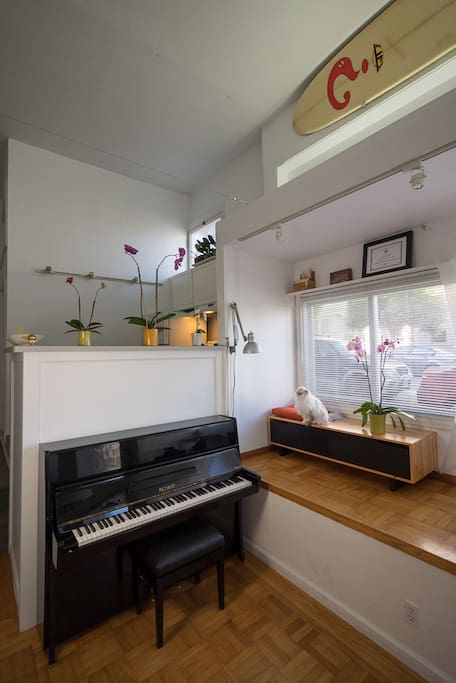 There is a 1973 Petrof studio upright piano!