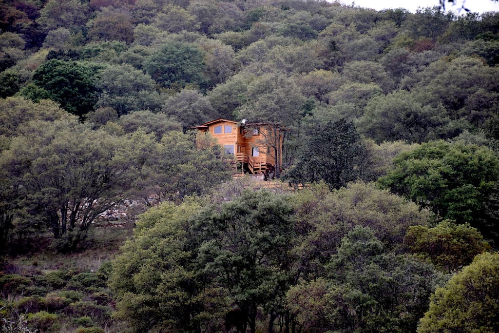 Cabaña con una vista increíble, totalmente de madera, en un bosque de pino-encino