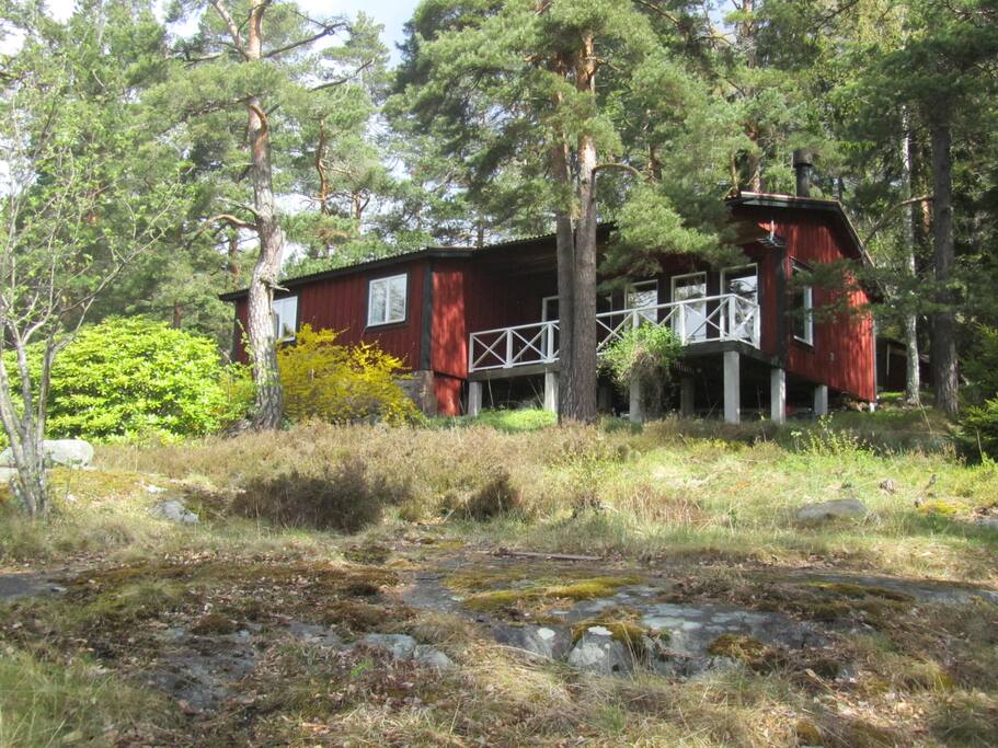 Vy från sjön