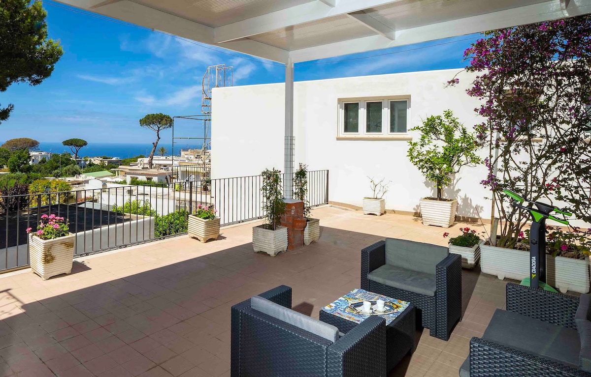 A spacious terrace is shown, featuring comfortable seating arrangements with dark wicker chairs. Potted plants add greenery, while the blue sky and distant sea can be seen in the background. The area is designed for relaxation and outdoor dining.