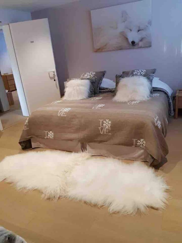 Chumba cha kulala cha 2 ambacho kinaweza kubadilishwa kuwa vitanda viwili vya mtu mmoja na skrini ya gorofa na bafu la ndani na choo 