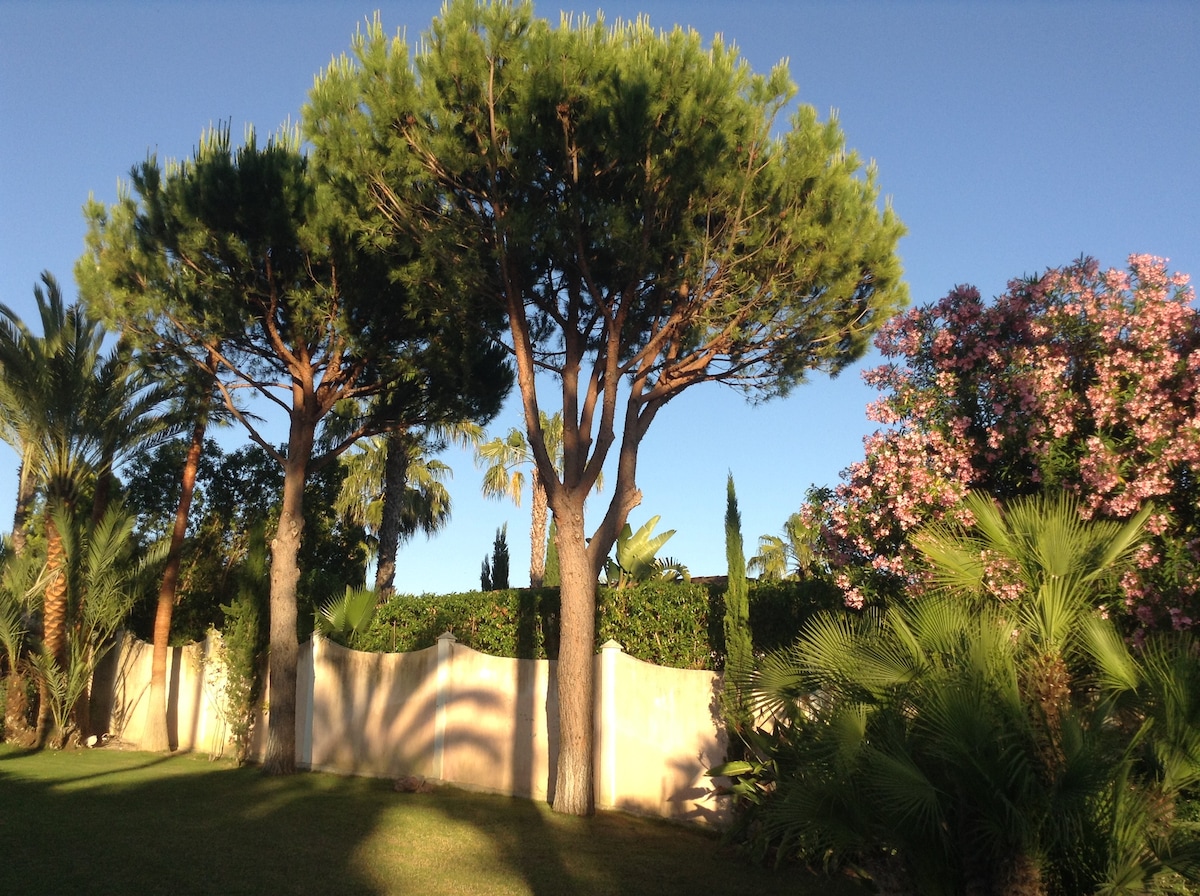 Sumptuous Luxury Estate 3