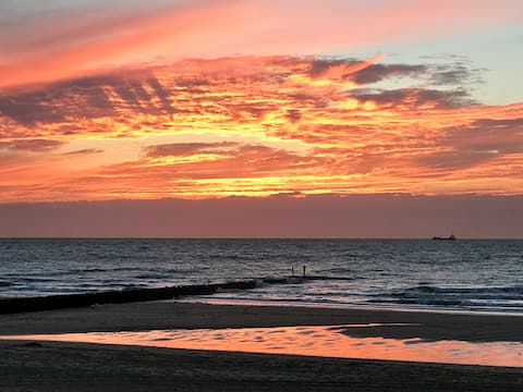 Beach front appt with incredible views