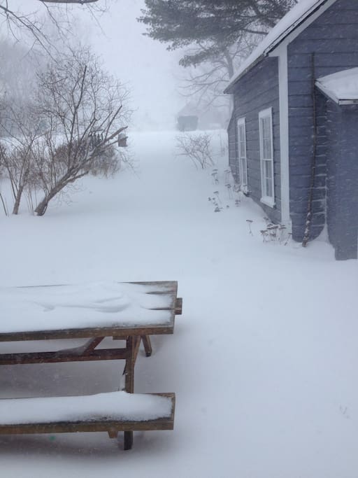 View of the back
yard in winter