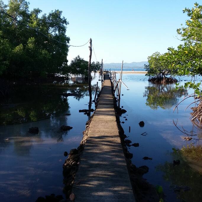 road to the beach house