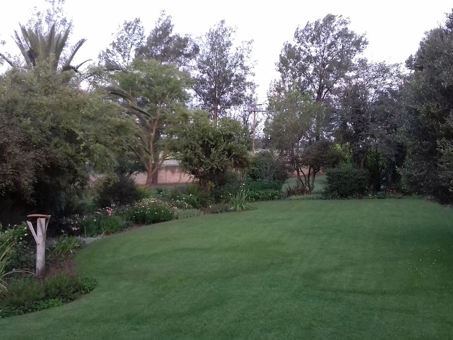 View of garden in front of our veranda