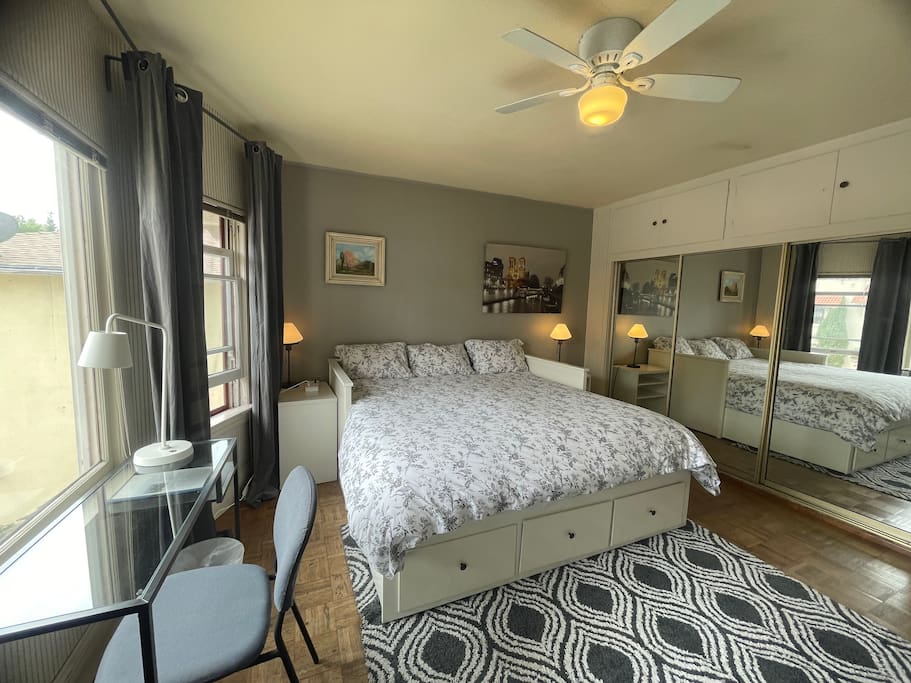 Big bright room downtown  / King bed