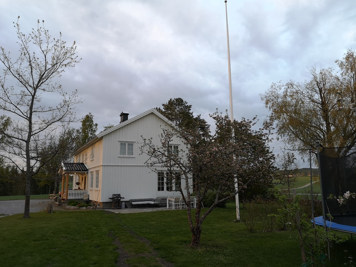 The exterior of a spacious white house is depicted surrounded by a lush green lawn. Trees and shrubs create a natural setting, with a flagpole standing in the yard. A trampoline is visible in the right corner, contributing to the family-friendly atmosphere.