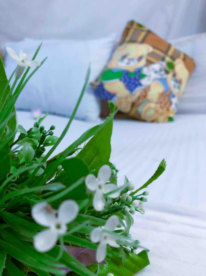 أحلام سعيدة!