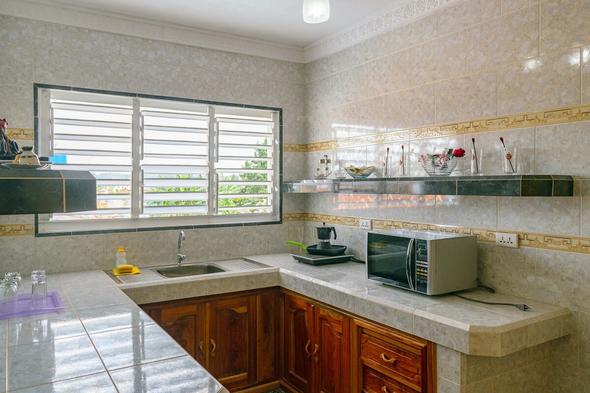 A well-lit kitchen features a blend of wooden cabinetry and tiled countertops. A sink and microwave are present, with a view through the window showcasing greenery outside. Shelves display decorative items and utensils.