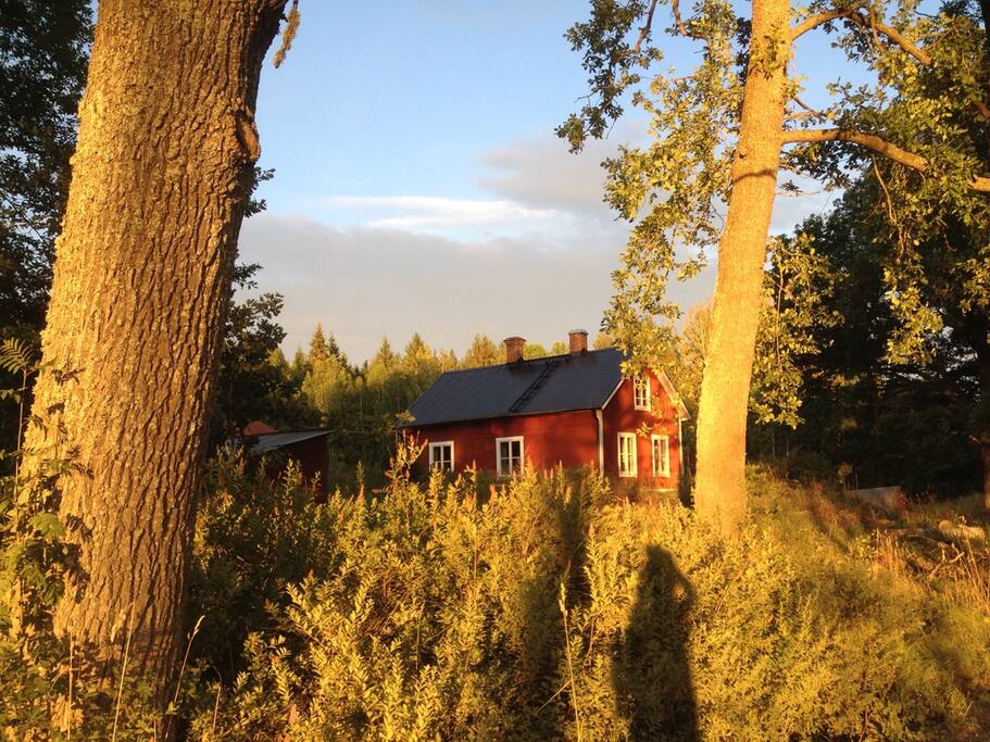 Grandmas cabin from the road