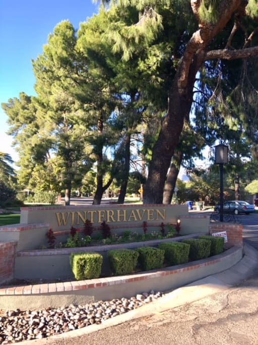 Winterhaven entrance on Ft. Lowell Rd. between Country Club & Tucson Blvd.
