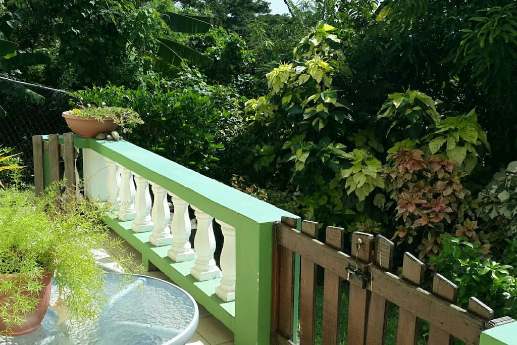 Veranda and garden at the front of the apartment