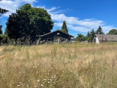 Mountain View ...walk to attractions & dining!