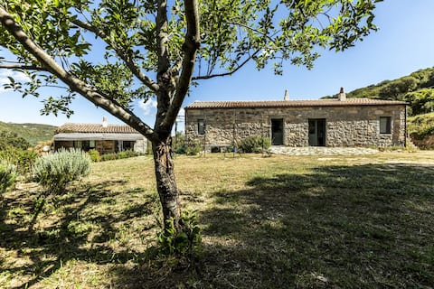 Gallura, Sardinia - Typisk gårdshus
