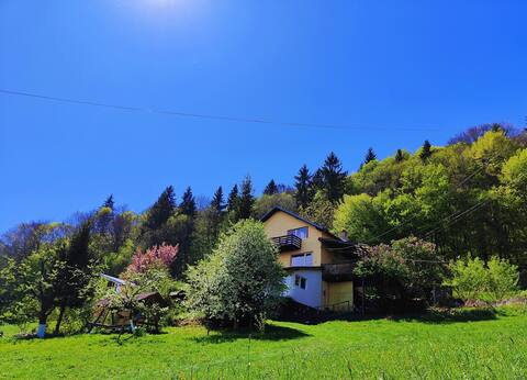 Cozy apartment - House under the forest Bran