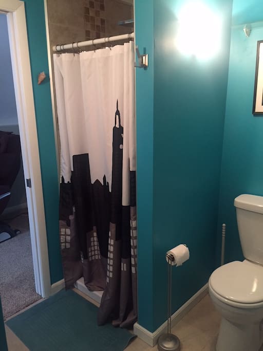 Private bathroom, view 2