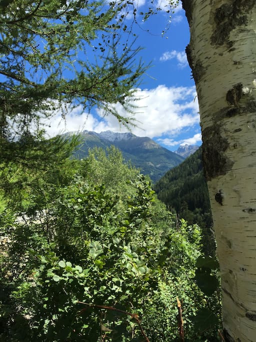 View towards Kals Grossglockner, Schober, from Defereggental