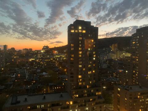 Quiet, no-smoking studio. Great-view, furnished.