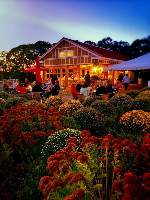 view of outside vineyard bar