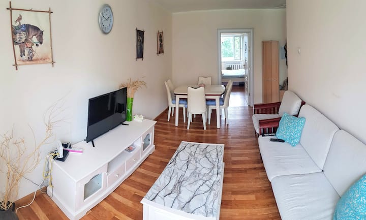 Modern 1 Bedroom Condo Walking Distance to Center
