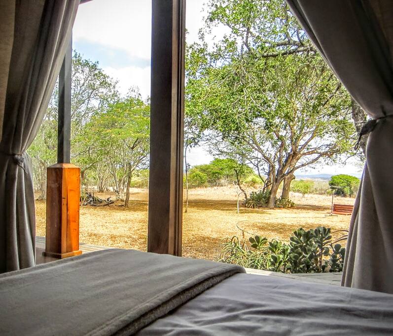 View though the bedroom window