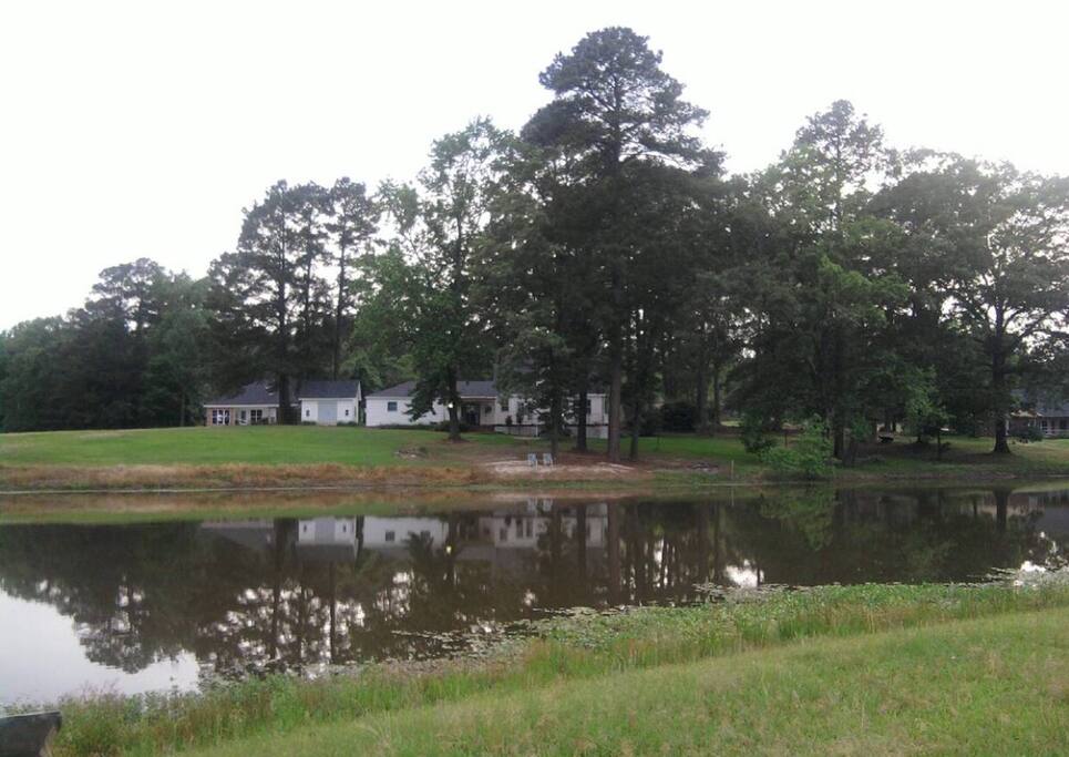 This is the back view of my house.