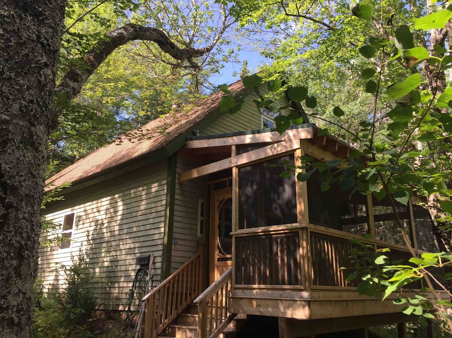 We aren’t kidding. This is a tree house without being perched above the ground! The screened in porch is huge and welcoming and allows you to immerse yourself in the sights, sounds and perfume of nature :)