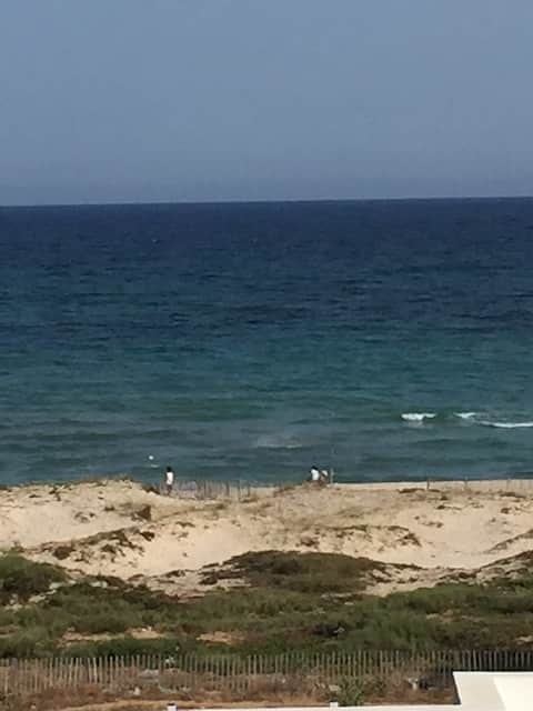 Very Nice house in front of the beach