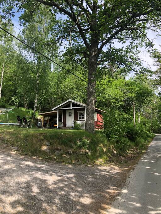 The cottage under a large oak tree.