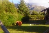A serene outdoor scene features two brown animals grazing on a grassy area surrounded by lush greenery. Tall trees and distant mountains provide a scenic backdrop, while a wooden structure is partially visible to the right, adding to the natural ambiance.