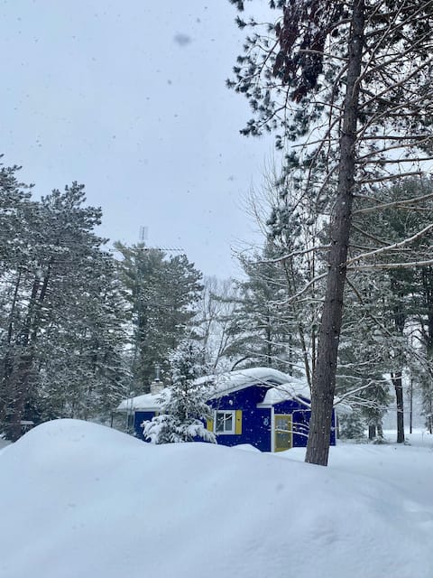Dog Friendly, Snow Mobile Trails, Winter Sports