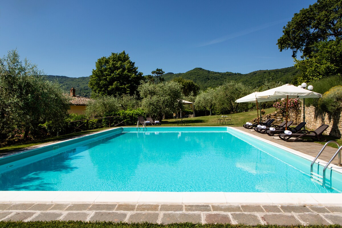 A clear, inviting swimming pool is surrounded by a manicured lawn and olive trees, with the backdrop of rolling green hills. Lounge chairs are arranged neatly on one side, complemented by shaded umbrellas, creating a relaxing outdoor space.