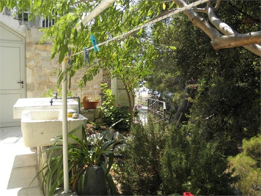courtyard (house and surroundings)