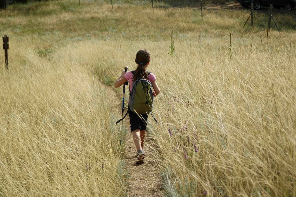 Hikes start at the door, with the Betasso Nature Reserve only a few steps away.