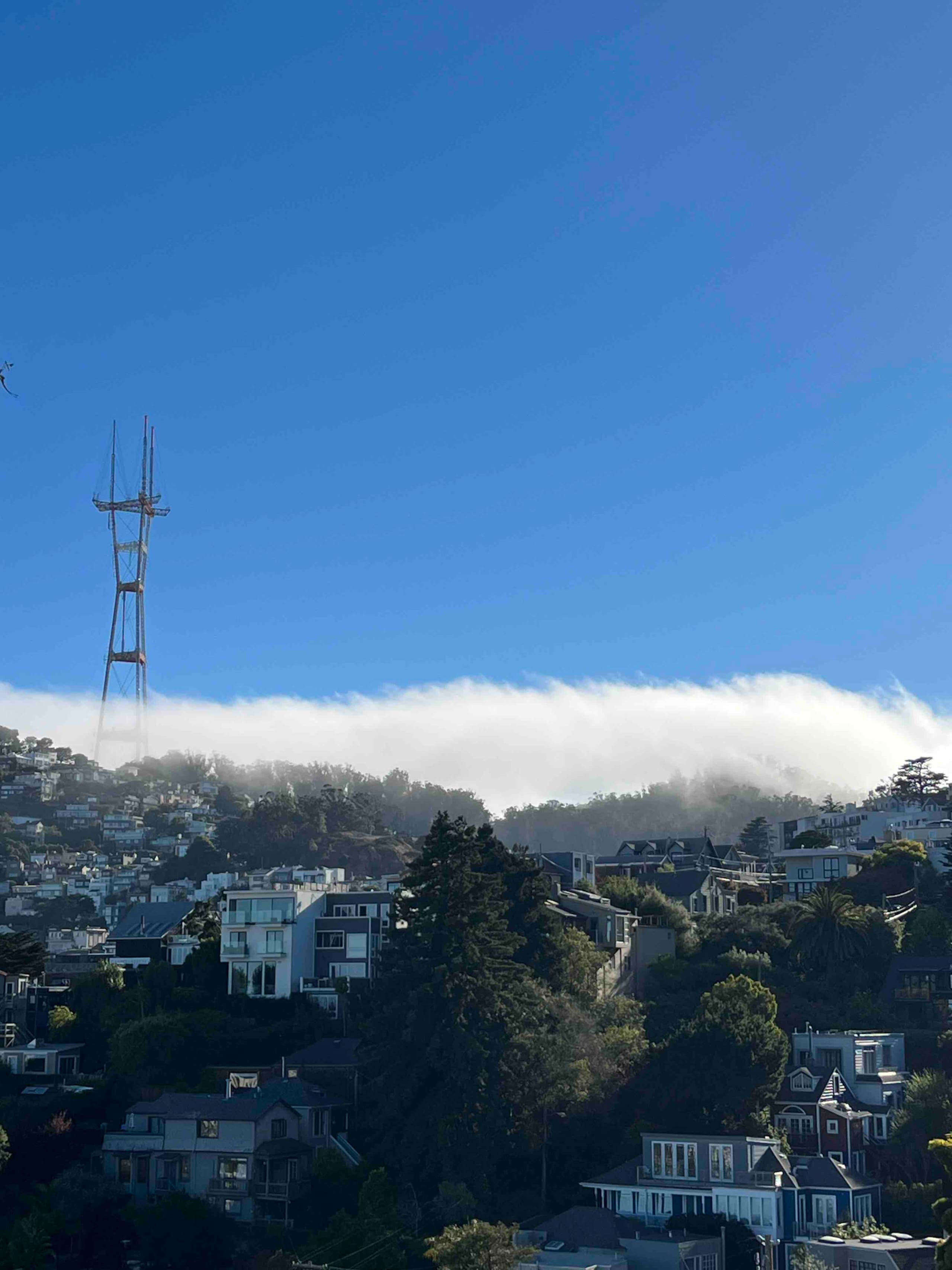 Home in San Francisco · ★4.96 · 2 bedrooms · 2 beds · 2 baths - Image 42