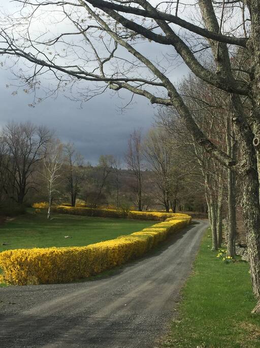 Spring