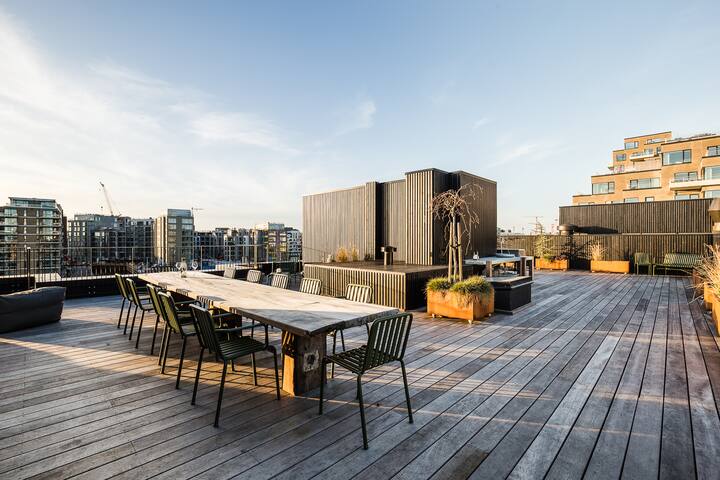Penthouse w. Private Rooftop at the Waterfront