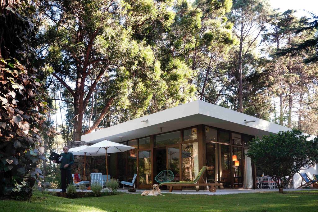 Mid Century Modern architecture