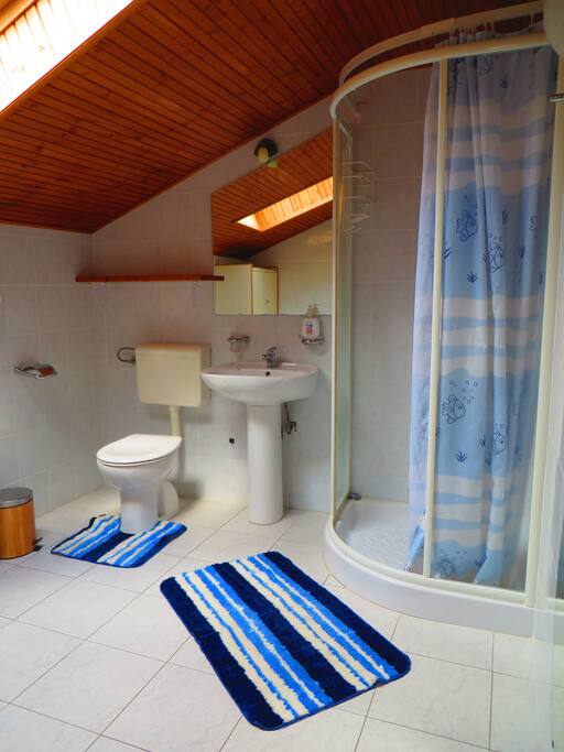 Upstairs bathroom