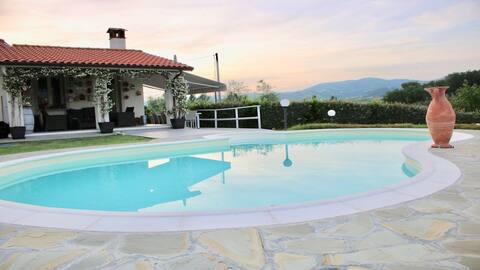 Modern house with swimming- pool.
