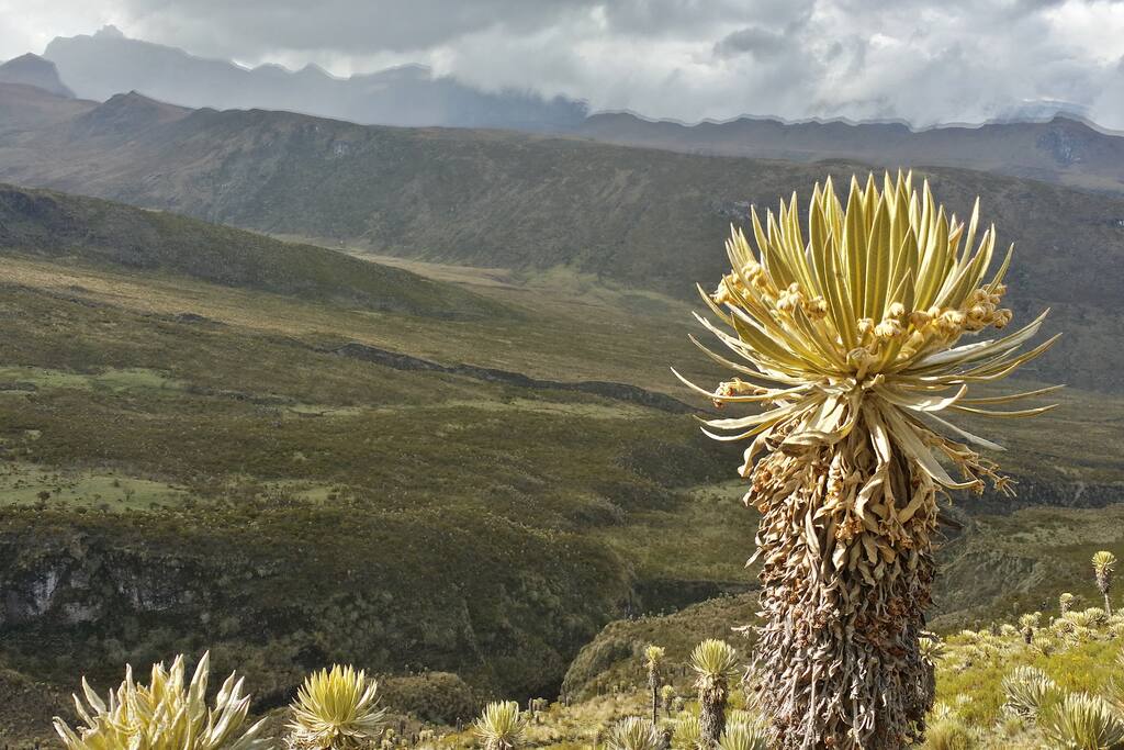 senderos de alta montaña