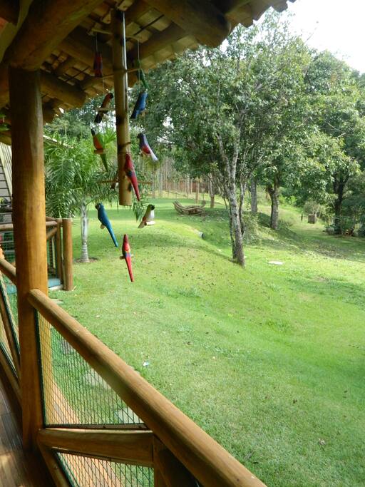 Vista espetacular e ar puro
