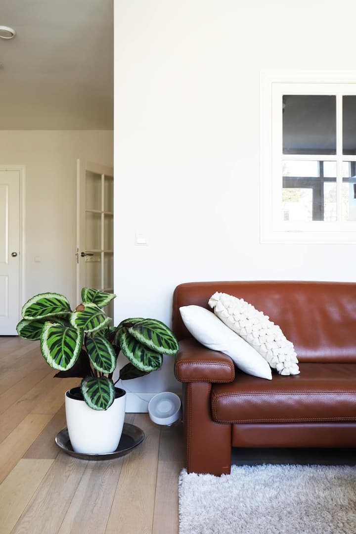 Hosted By Wendy, City Apartment - The Hague